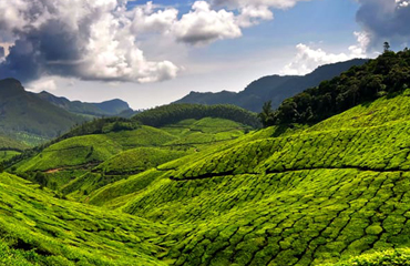 One way Munnar&Coorg Trip